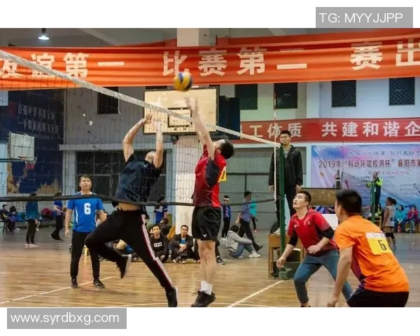 专访排球教练陈强揭秘球队成功背后的训练与策略